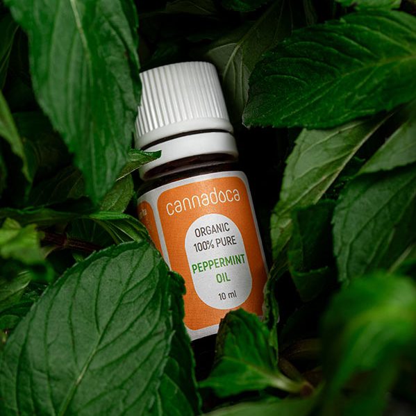 cannadoca-therische-le-set-weihrauch-pfefferminz-oregano image 8