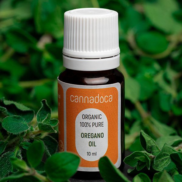 cannadoca-essential-oils-oregano-l-bio-origanum-minutiflorum image 3