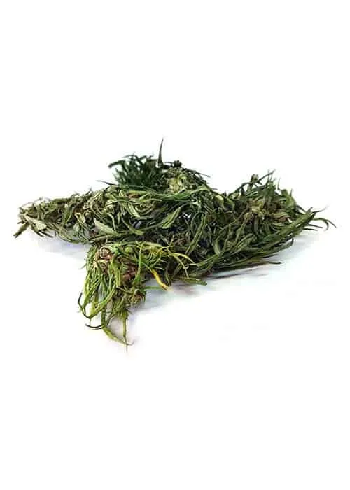 die-hanflinge-bio-cbg-hanfbl-ten-santhica-2-5-mild image 1