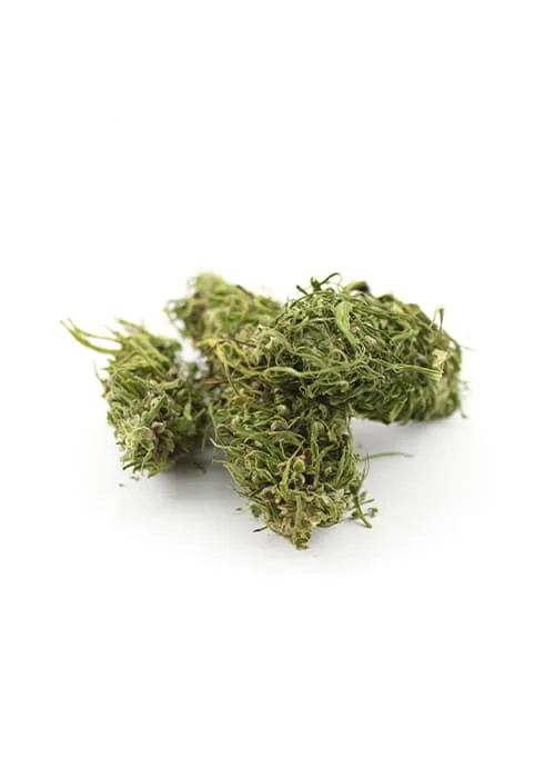 die-hanflinge-bio-cbd-hanfbl-ten-fedora-3-5 image 1