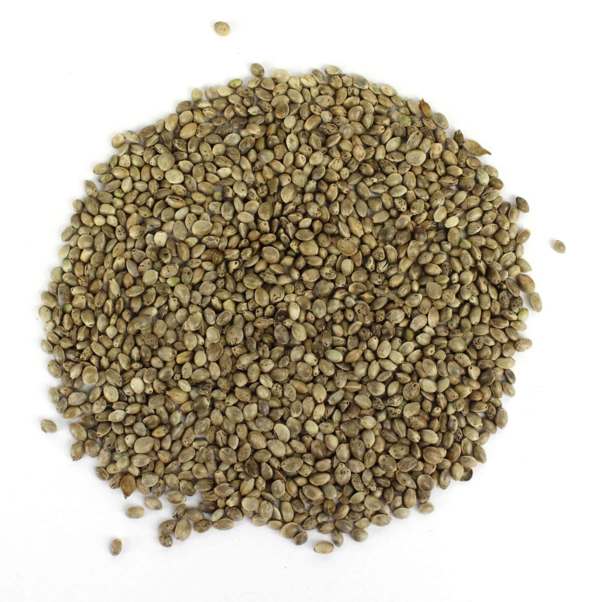 die-hanflinge-hanfsamen-bio-hanfsamen-1kg-natur-proteinreich image 3
