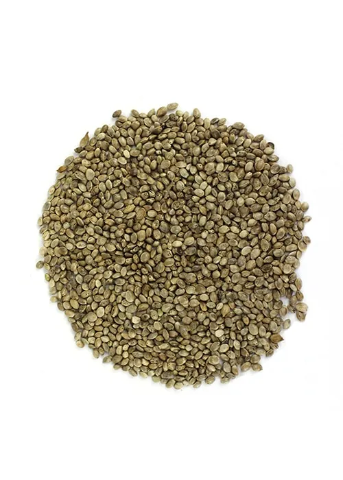 die-hanflinge-hanfsamen-bio-ger-stete-hanfsamen-snack-gesalzen image 1
