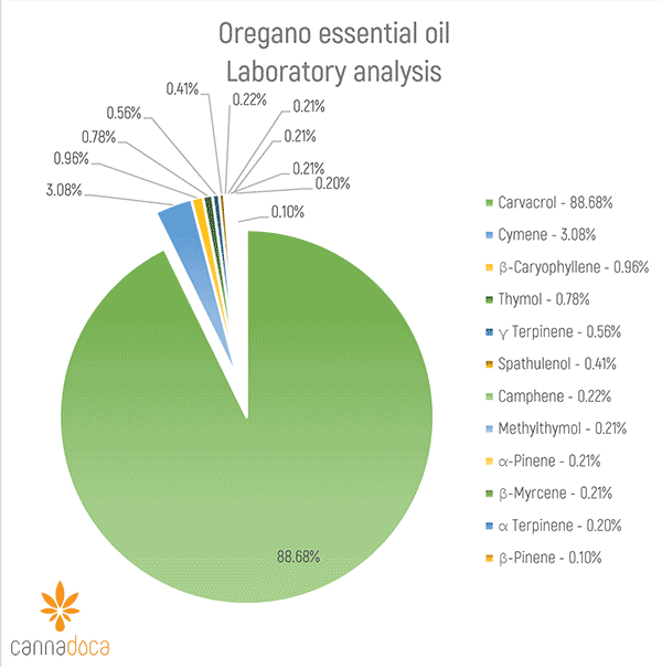 cannadoca-essential-oils-oregano-l-bio-origanum-minutiflorum image 4